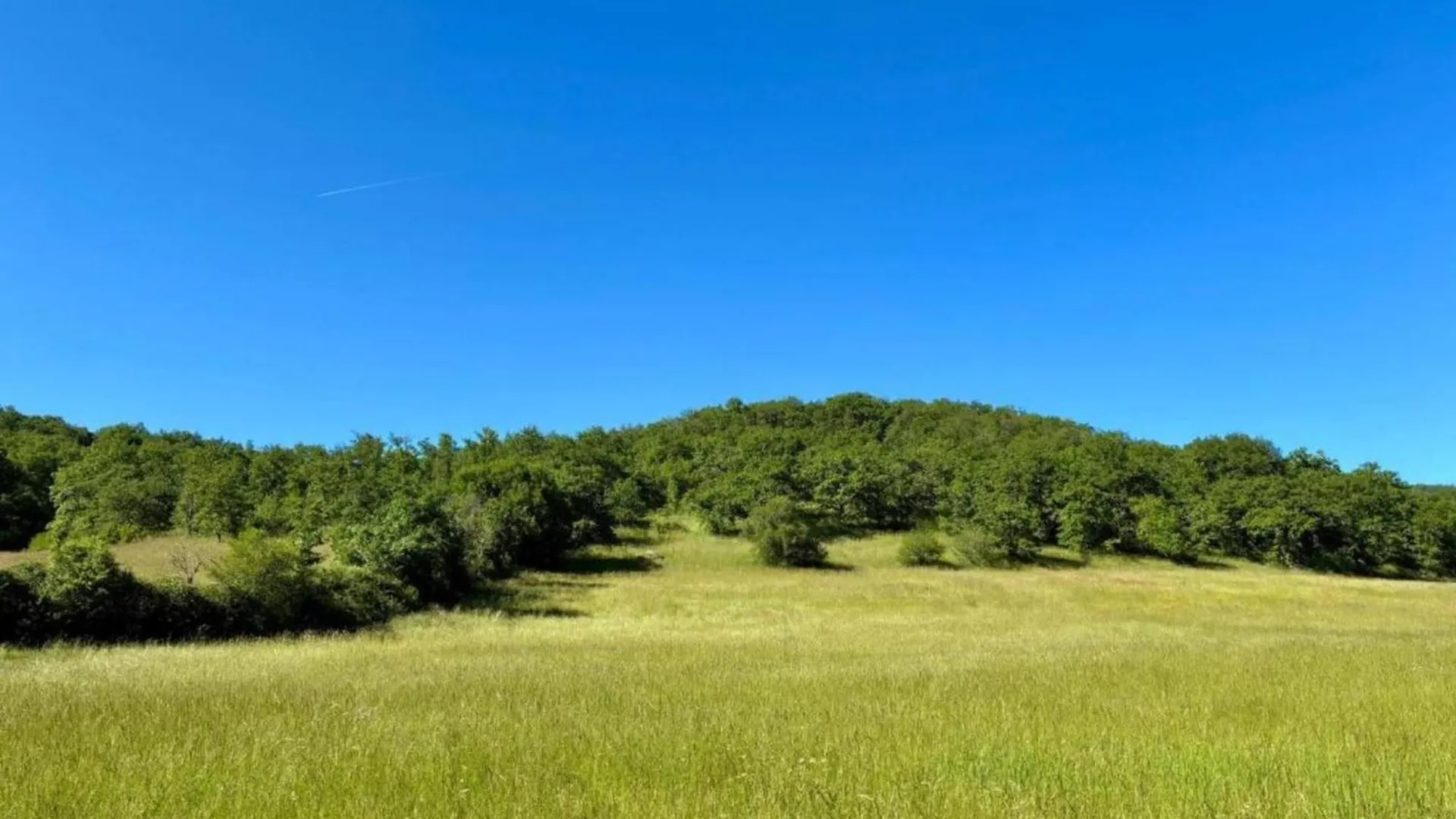 Beautiful Holiday Home Near The Forest, Cleaning Included Montfaucon  France
